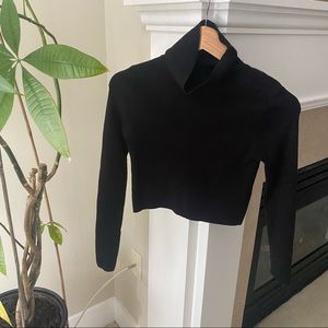 F21 Black Cropped Longsleeve Knit Turtleneck Top